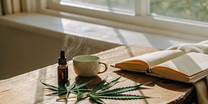 When to Take CBD Oil for Best Results - Reclaim Labs