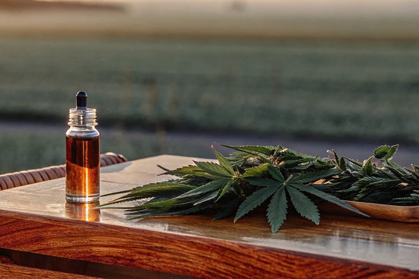 Where to Buy Authentic Reclaim Labs CBD