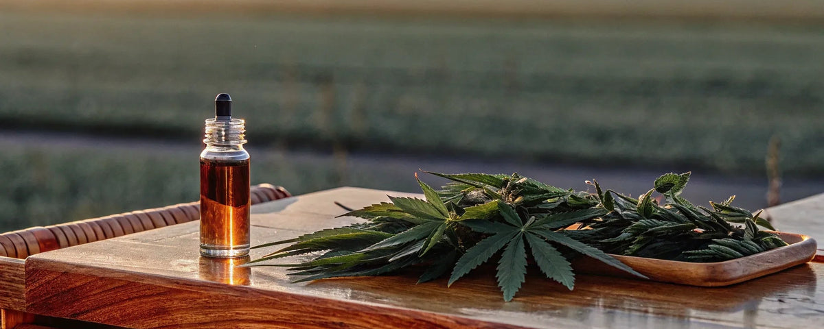 Where to Buy Authentic Reclaim Labs CBD