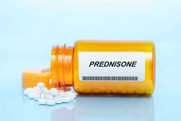 Withdrawing from Prednisone - side effects and how to taper off Prednisone, and does CBD help with Prednisone withdrawal